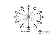 八字地支帶沖 - ​八字地支帶沖的力量