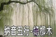 八字納音五行：楊柳木命詳解