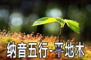 八字納音五行：平地木命詳解