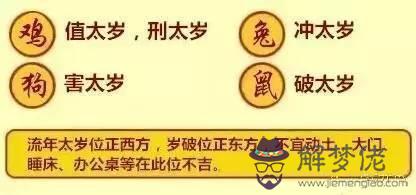 屬鼠和屬狗在一起相克嗎：屬鼠和屬狗相配嗎？