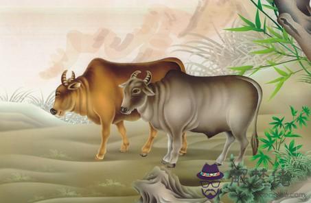 屬牛的和什麼屬相最配相：屬牛的和什麼屬相最配？