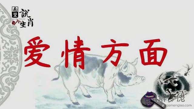 屬狗每月運勢2019年：屬狗今年的運氣