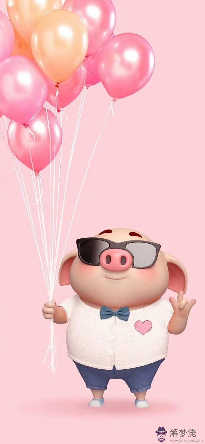2019豬年豬人運勢：請問今年屬豬的運氣如何？
