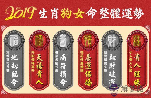 2019年各屬相運勢：李居明2019年生肖運程之豬肖運氣