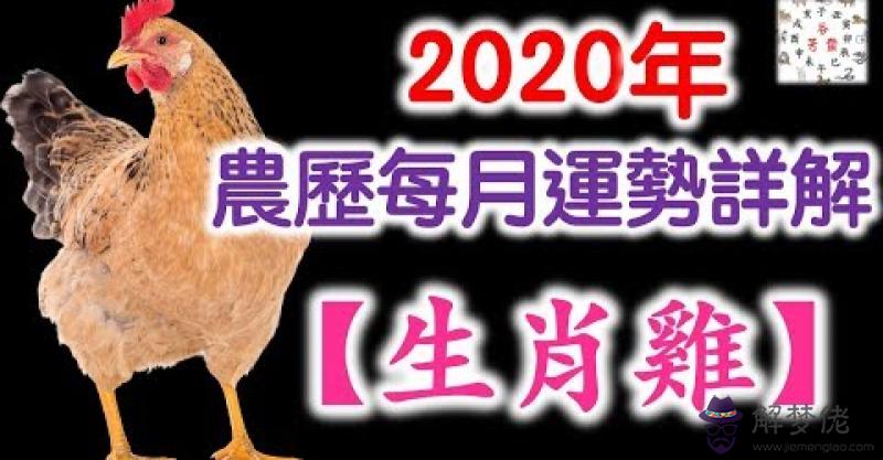 屬雞農歷5月運勢：屬雞1969年農歷5月出生一生運勢