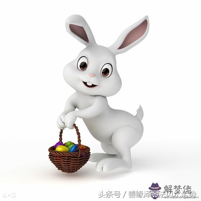 生肖兔今年運勢：生肖兔：今年會有桃花劫嗎