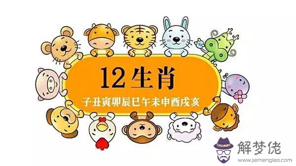 屬老鼠的2017年的運勢：2017年屬鼠的人運程如何？