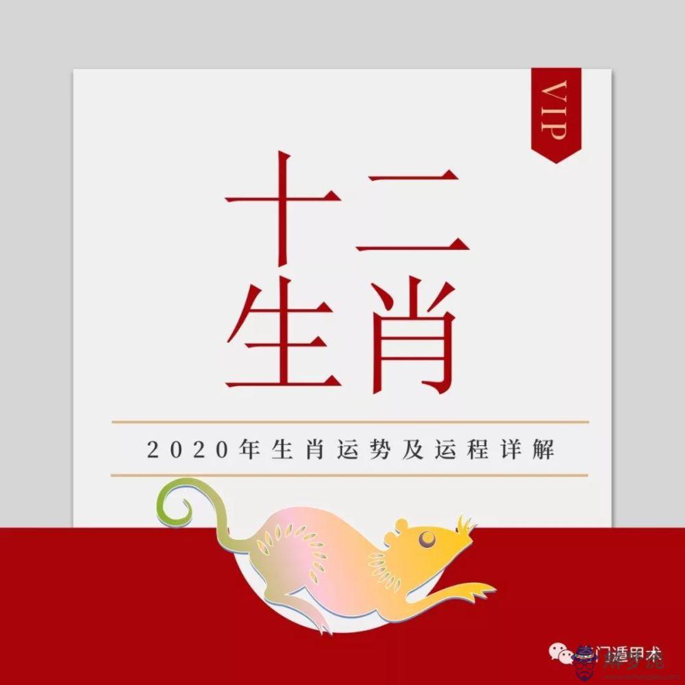 84年屬鼠男人2019運勢：1972年屬鼠人2019年運氣