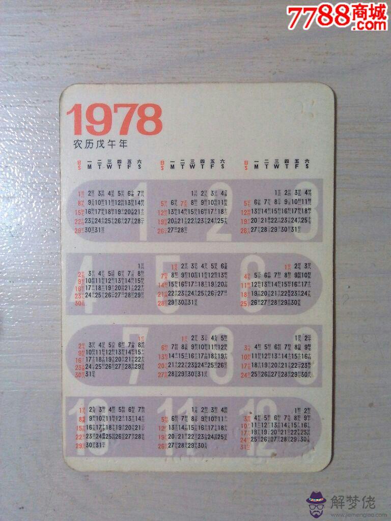 1978年屬馬運勢：1978年屬馬人女運勢