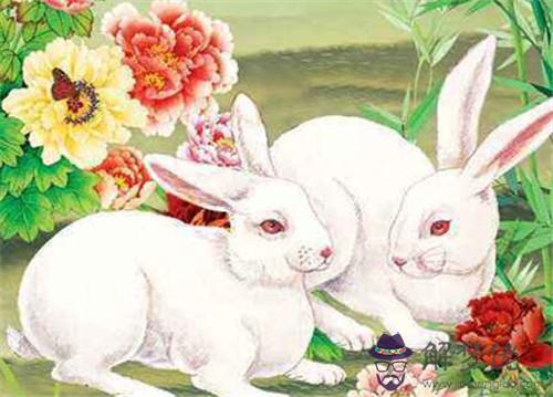 6月份屬兔的運勢：算運勢：女。農歷丁卯年閏6月初9午時出生，屬兔，求財運？