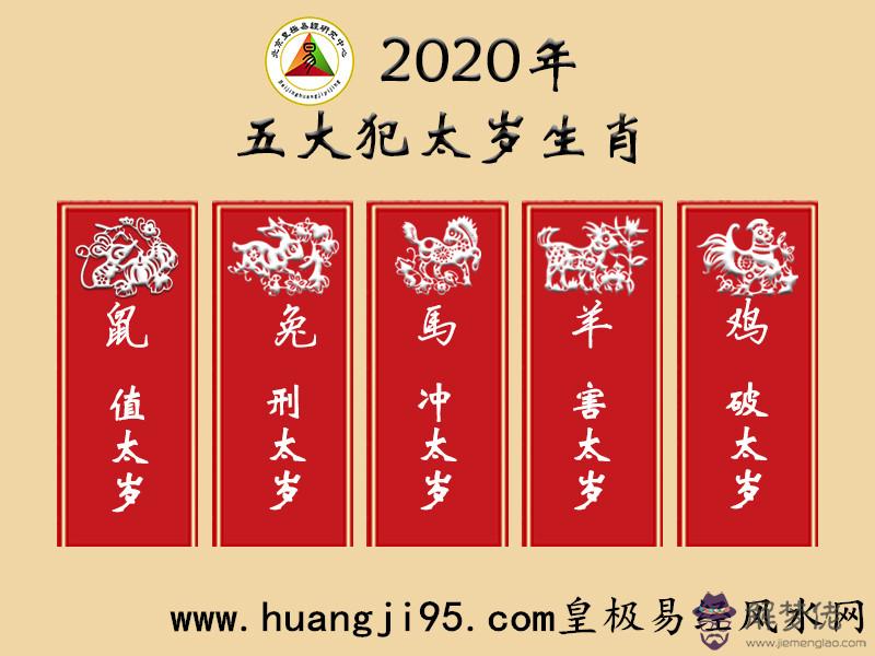 2019年屬猴的人運勢：2019年屬猴人的全年運勢