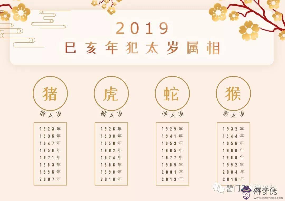 十二生肖運勢2019：2019十二生肖運勢詳解