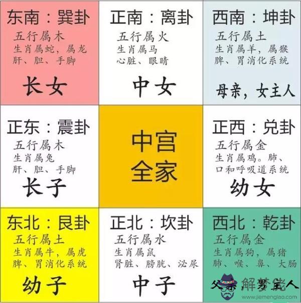 2020年生肖運勢排名