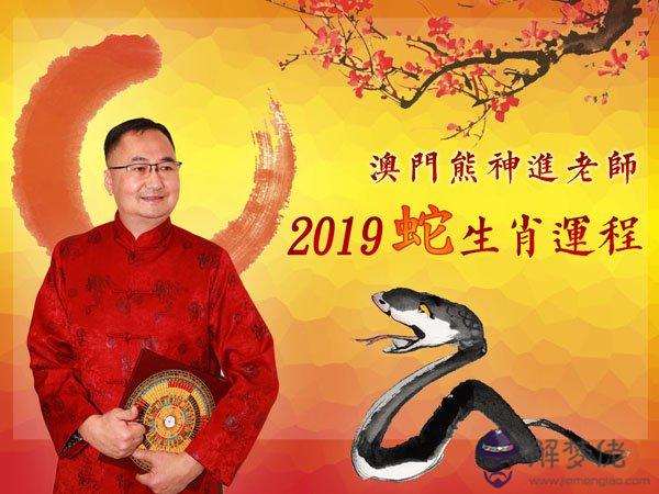 2019生肖蛇運勢：2019年屬蛇人的全年運勢