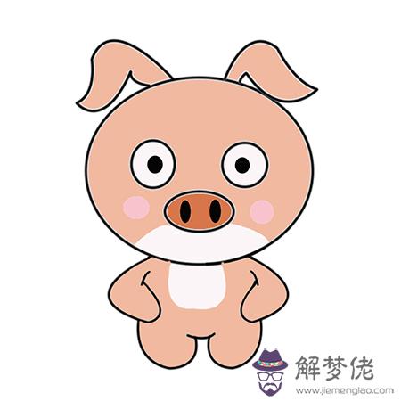 豬人十月份運勢：2018年屬豬人的全年運勢