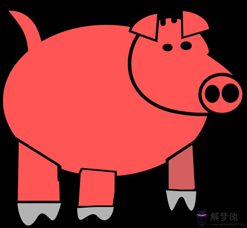 屬豬的明年運勢：屬豬人運程