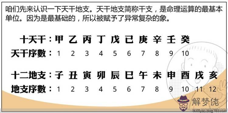 李小璐生辰八字命理：生辰八字 命理分析