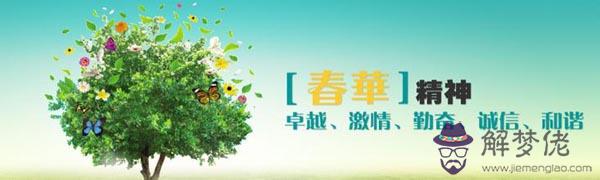 春華的八字分析