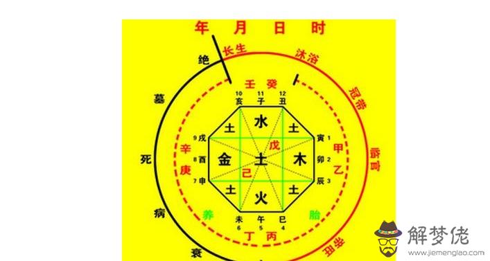 八字里食是什麼意思：走食大運什麼意思