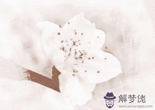 免費測八字桃花：免費八字算姻緣網