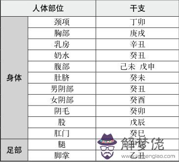 八字天干地支的作用關系