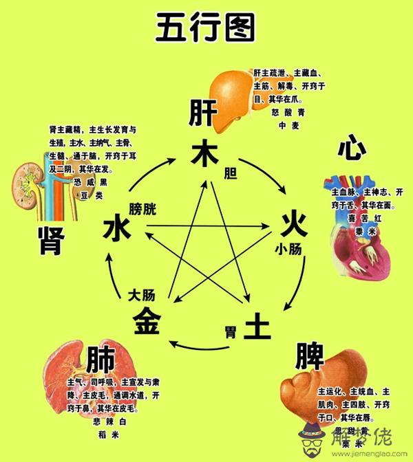 關于五行元素的動畫片