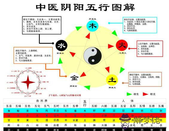 五行與五臟的關系：肝五行屬什麼，肝在五行中屬，肝屬木，肝屬 脾屬