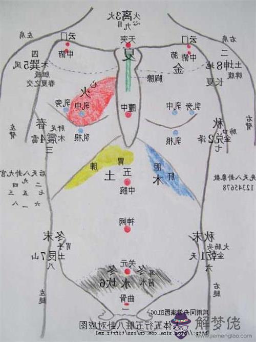 人體五行專業知識：有知的五行怎麼算嗎？