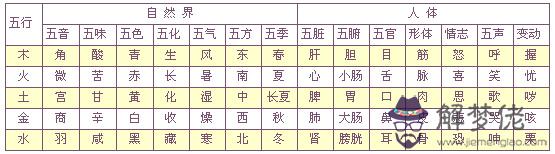 樓層數字五行屬性