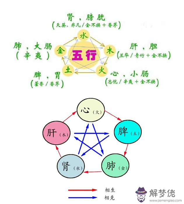 中醫五色對應五行：中醫五行學說