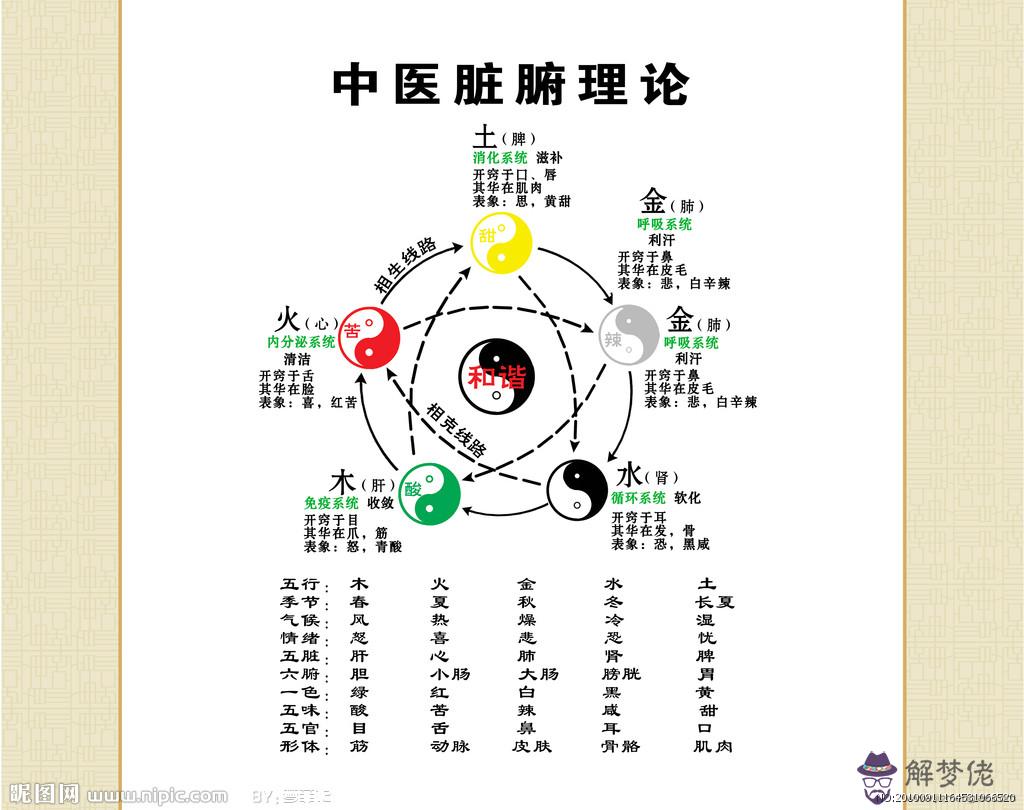 張五行屬什麼的：“張”的五行屬性