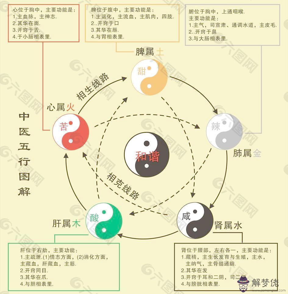 中醫五行圖解：中醫的五行包括哪五行？