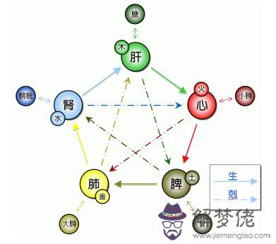 七在五行屬什麼