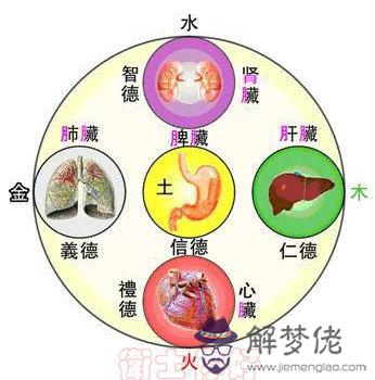 五行屬什麼