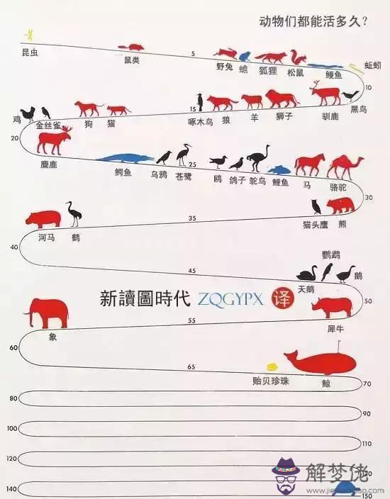 動物壽命100排名：各種動物的壽命都有多長？