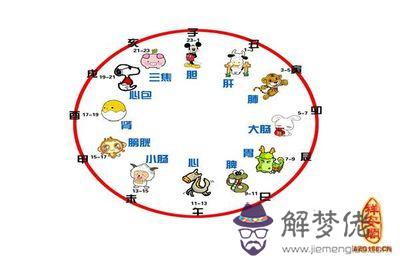 95年屬豬哪個時辰生好：95年陰歷 9月20屬豬的時辰是什麼時候