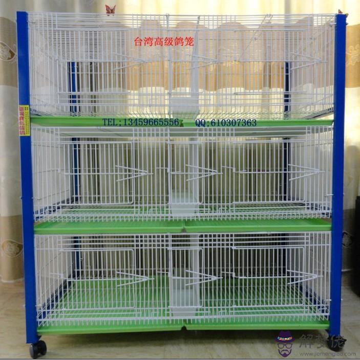 信鴿配對籠價格20元：自己做信鴿配對籠的尺寸是多少合適