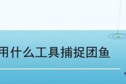 用什麼工具捕捉團魚