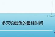 冬天釣鯰魚的最佳時間