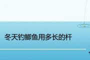 冬天釣鯽魚用多長的桿