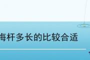 海桿多長的比較合適