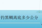 釣黑鯛離底多少公分