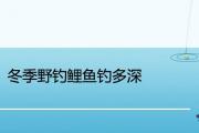 冬季野釣鯉魚釣多深好