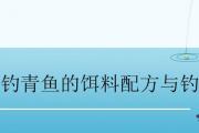 釣青魚的餌料配方與釣法