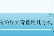 釣40斤大青魚用幾號線