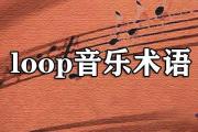 loop音樂術語