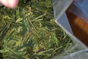 烏龍茶屬于什麼茶