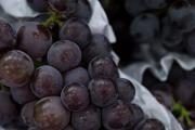 新鮮葡萄怎麼保存時間長