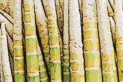 煮熟的竹筍怎麼保存
