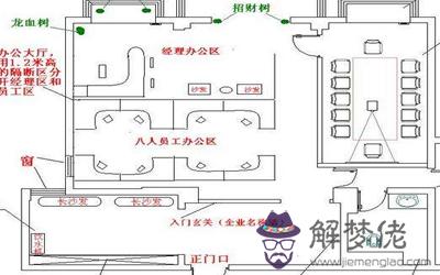 店鋪的財位擺放有刺的植物好不好？(圖文)